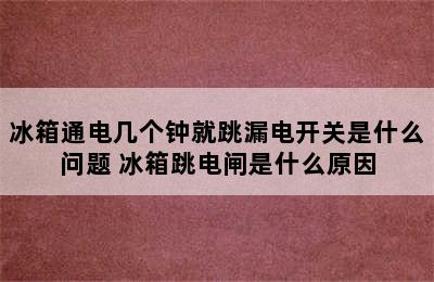 冰箱通电几个钟就跳漏电开关是什么问题 冰箱跳电闸是什么原因